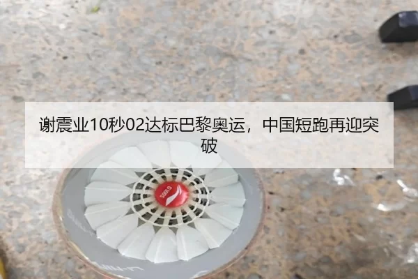 谢震业10秒02达标巴黎奥运，中国短跑再迎突破