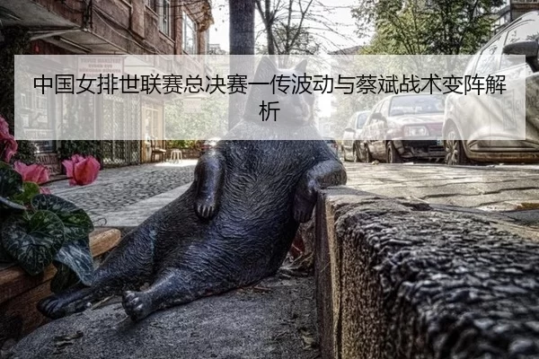 中国女排世联赛总决赛一传波动与蔡斌战术变阵解析